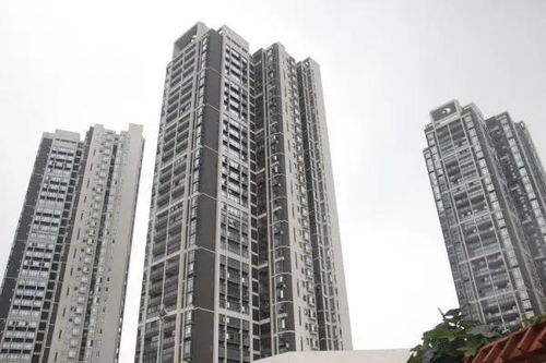 2020上海靜安區 了解背后原因以及詳情